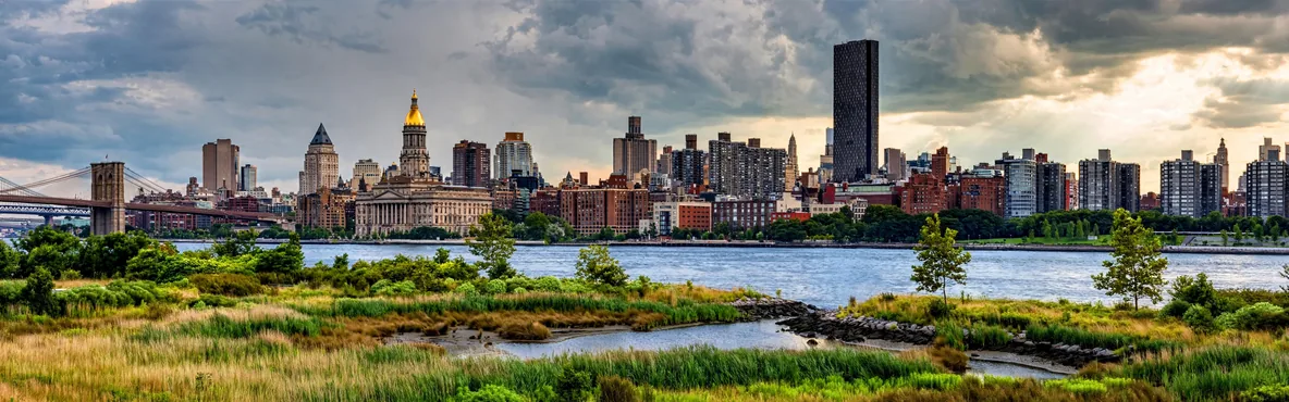 A city skyline with a body of water and greenery in the foreground.