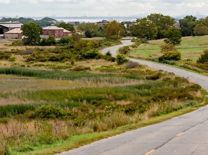 a winding road through a grassy area with trees and buildings in the background